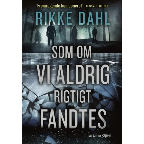 Som om vi aldrig rigtigt fandtes af Rikke Dahl (Lydbog)
