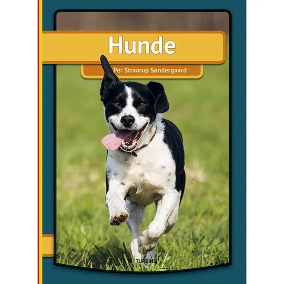 Hunde - Min første bog (Tysk udgave)