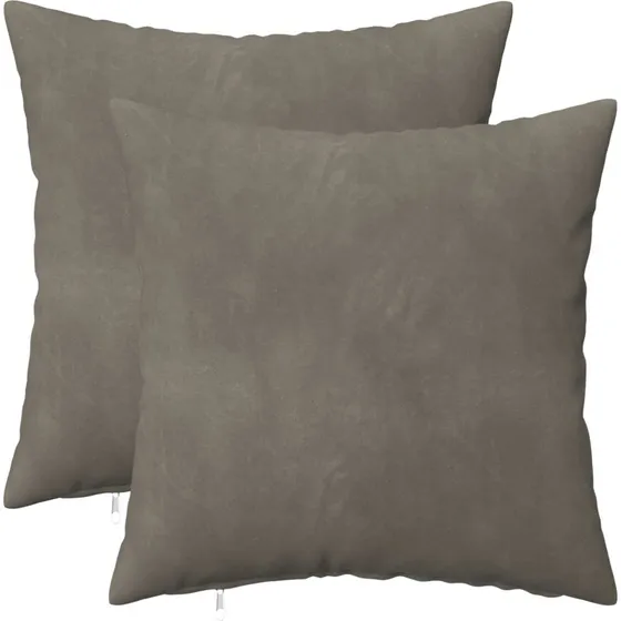 vidaXL HEERLEN Pudebetræk 2 stk. Lysegrå Fløjl 35x35 cm