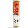 Dunlop Fort Clay Court 4-pak