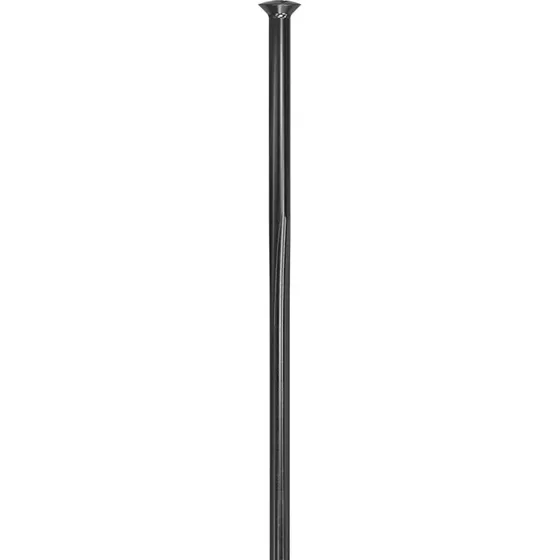 DT Swiss Revolite Straight Pull eger, sort