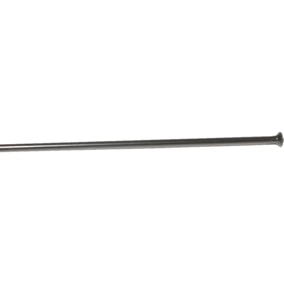 DT Swiss Competition Eger Straight Pull Sort