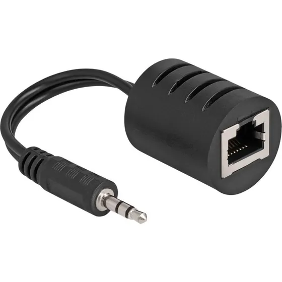 DeLOCK Lydadapter RJ-45 hun til 3,5 mm minijack han, sort (2 stk.)