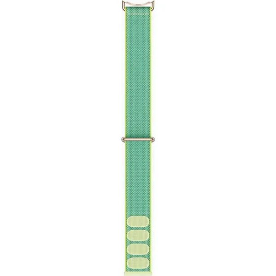 Google Smartwatch Loop 41mm - Wintergreen/Champagne Gold