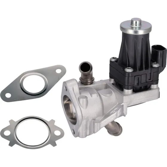 FEBI BILSTEIN EGR-ventil til Ford, Peugeot, Citroën & Land Rover