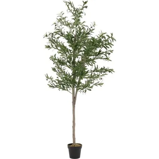 ML-design Kunstigt oliventræ 210 cm med naturlig træstamme