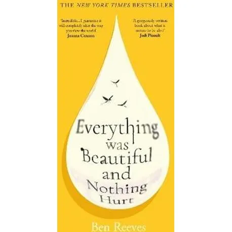 Ben Reeves: Everything was Beautiful and Nothing Hurt - Bog