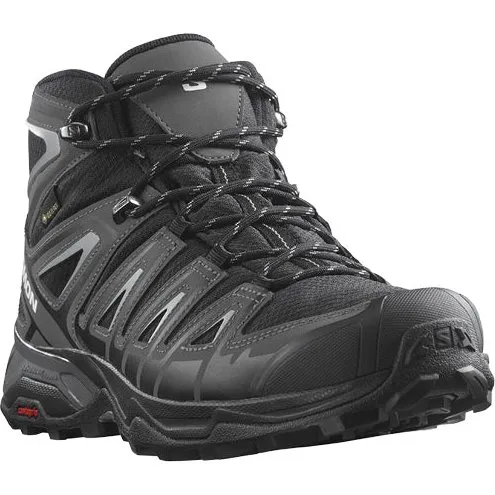 Salomon X Ultra Pioneer Mid GTX peat/q. shade EU47 1/3