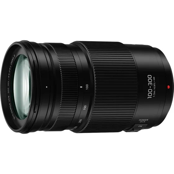 Panasonic Lumix G Vario 100-300mm f/4,0-5,6 II POWER O.I.S.