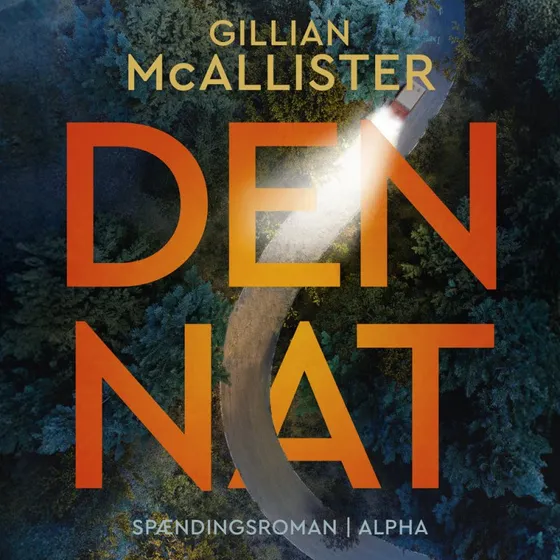 Den nat - Gillian McAllister (Lydbog)