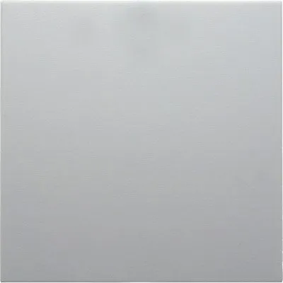 Berker 16208989 Tangent s.1 Polar hvid blank