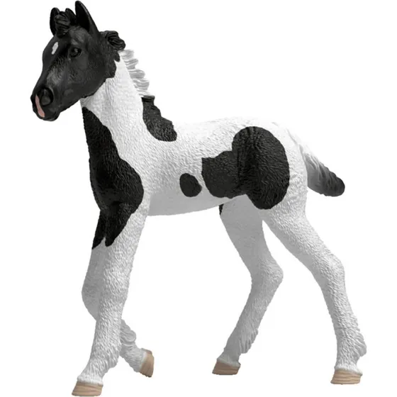 Schleich Collectible Foal Rocky - Horse Club Serie 2