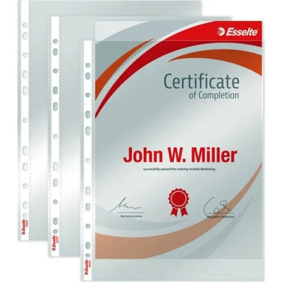 Esselte Plastlomme A4 105µ glasklar 11-huls, topåbning 10 stk