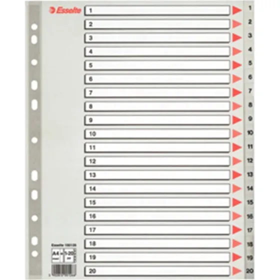 Esselte MAXI A4 register 1-20, grå – 10 sæt