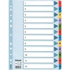 Esselte Mylar papinddelere A4 1-12 (12 kort)