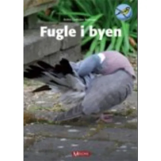 Birthe Lindholm Pedersen: Fugle I Byen - Bog (Meloni)