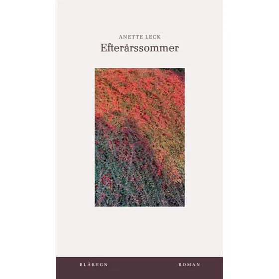 Efterårssommer af Anette Leck - Bog