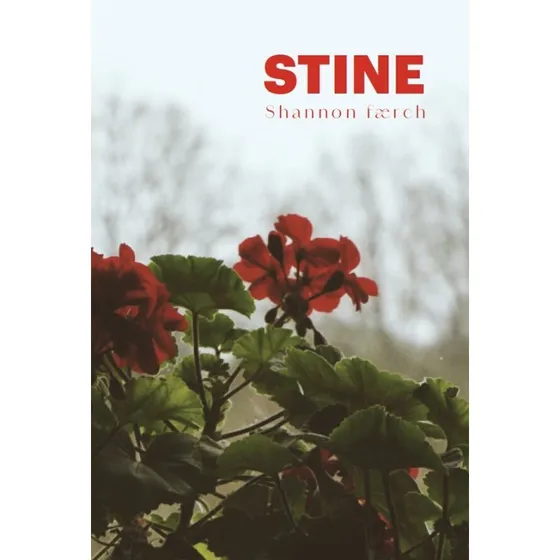Stine - Shannon Færch - Bog