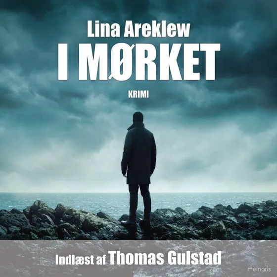 I mørket - Lina Areklew (Lydbog)