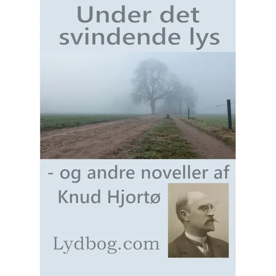 Knud Hjortø: Under det svindende lys - og andre noveller