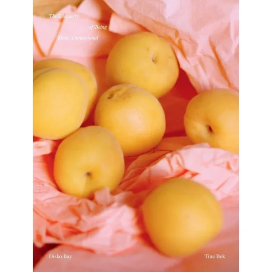 Tine Bek: The Vulgarity of Being Three-Dimensional