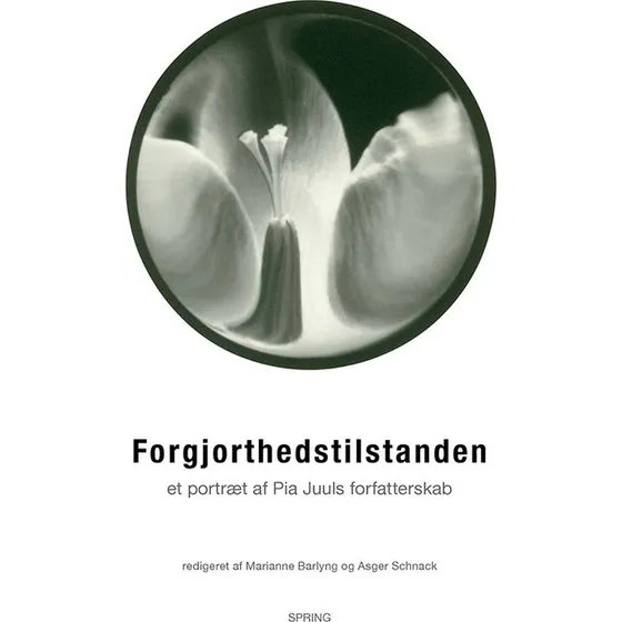 Forgjorthedstilstanden af Asger Schnack