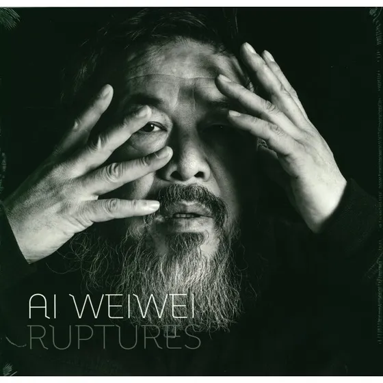 Ai Weiwei: Ruptures - Jens Faurschou - Bog