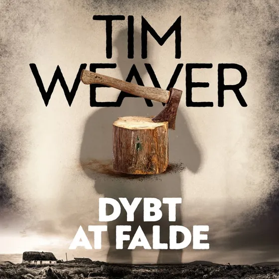 Tim Weaver: Dybt at falde (Lydbog)