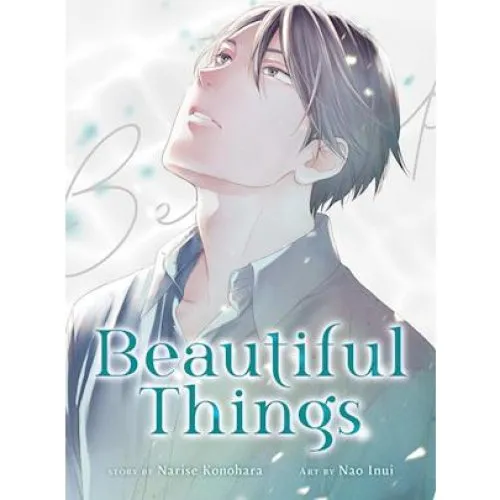 Narise Konohara: Beautiful Things - The Complete Manga Collection