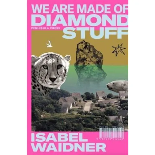 Isabel Waidner - We are Made of Diamond Stuff - Bog