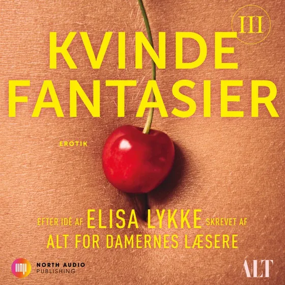 Kvindefantasier III - Lydbog