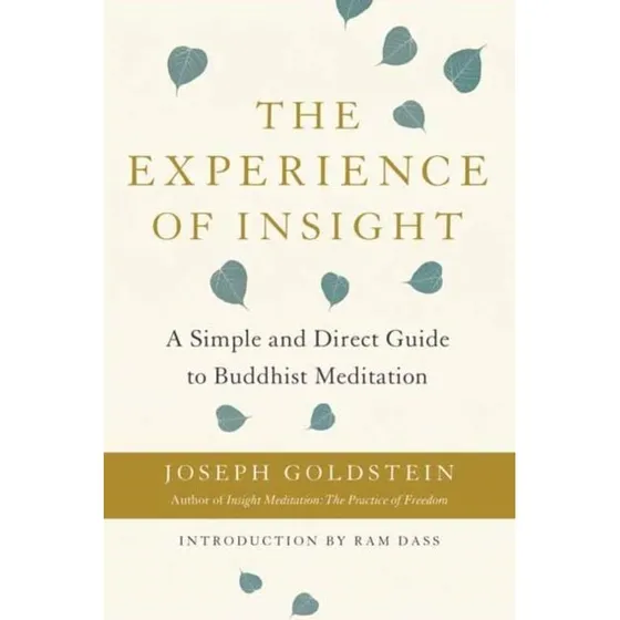 Joseph Goldstein: The Experience of Insight