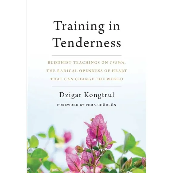 Training in Tenderness - Buddhistisk guide til hjertets varme