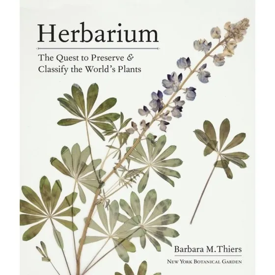 Herbarium af Barbara M. Thiers