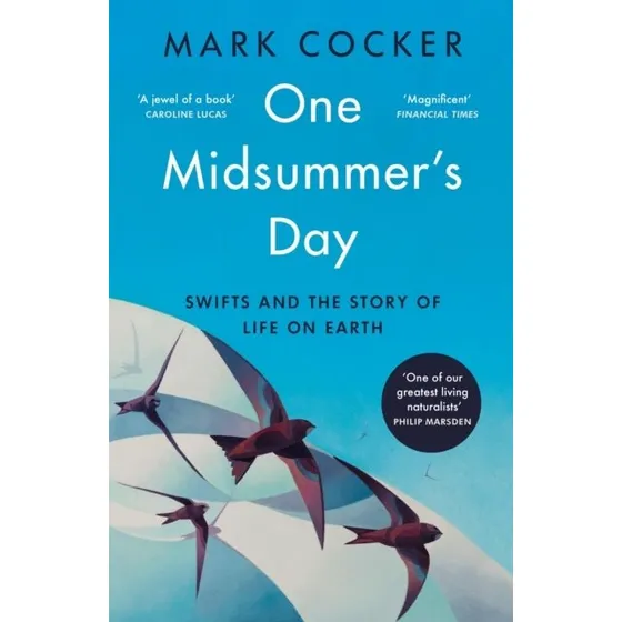 One Midsummer's Day: Swifts and The Story of Life On Earth - Mark Cocker