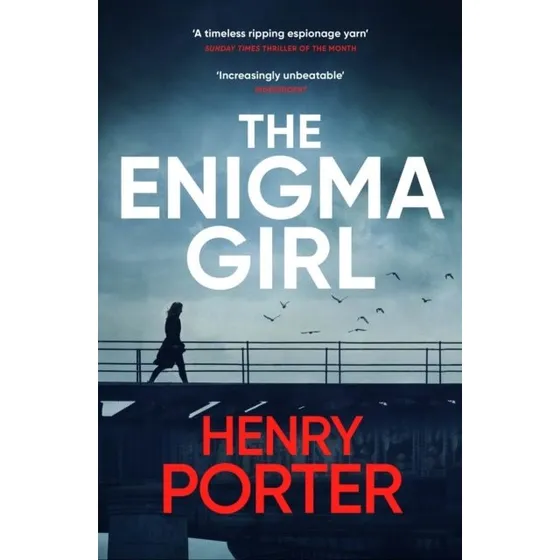 The Enigma Girl - Henry Porter
