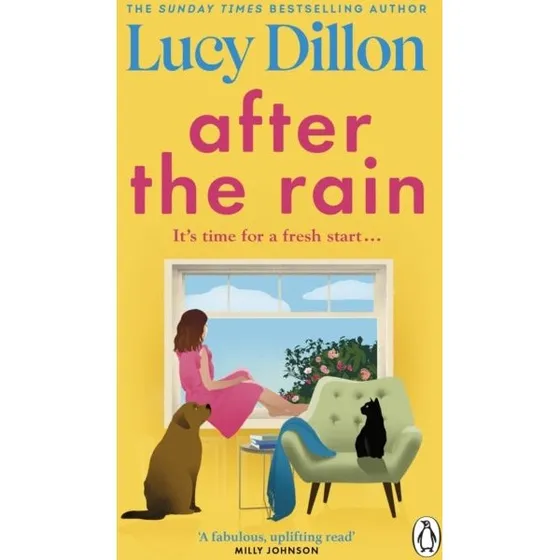 Lucy Dillon: After the Rain (Trykt bog)