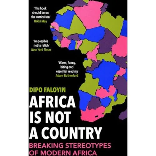Africa Is Not A Country - Dipo Faloyin - Bog
