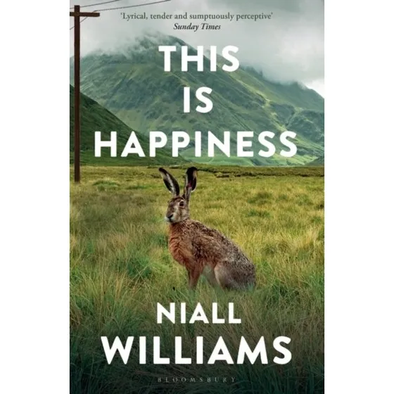 This Is Happiness - Niall Williams (Bog)