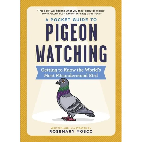 A Pocket Guide to Pigeon Watching - Rosemary Mosco