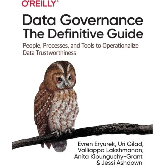 Data Governance: The Definitive Guide - Bog