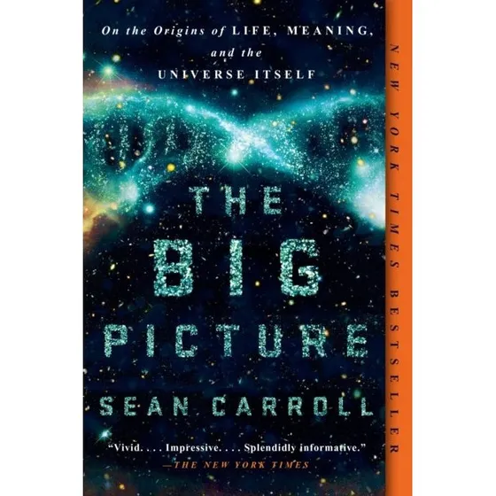 The Big Picture af Sean Carroll