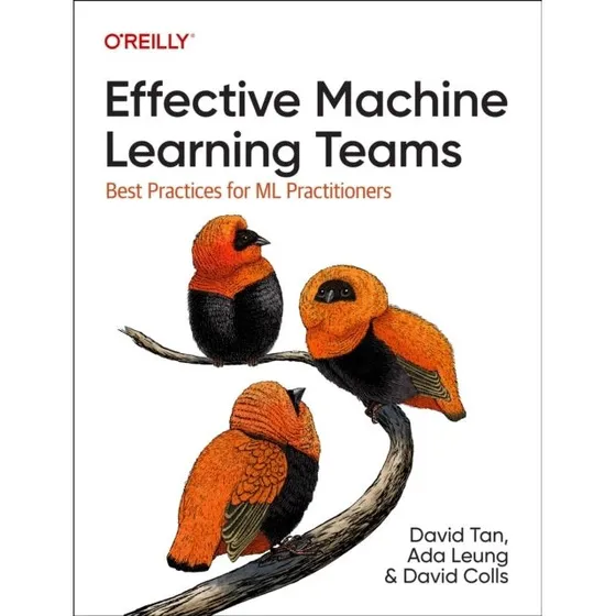 Effective Machine Learning Teams af David Tan & Ada Leung