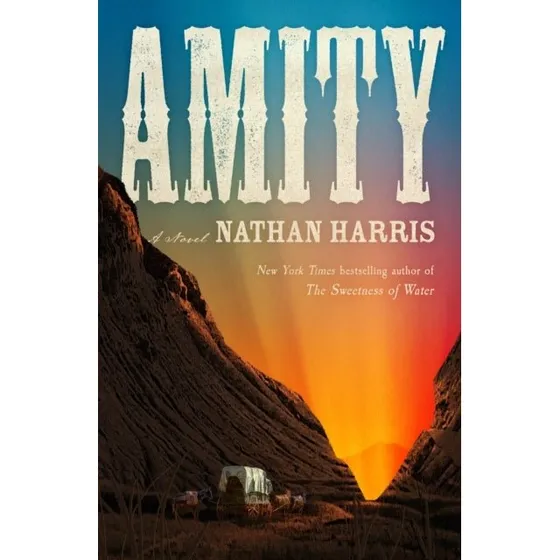 Amity af Nathan Harris - Bog