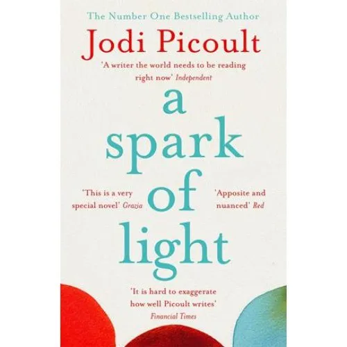 Jodi Picoult - A Spark of Light (Bog)