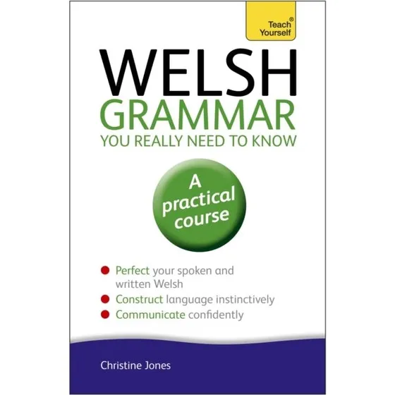 Welsh Grammar You Really Need to Know - Christine Jones