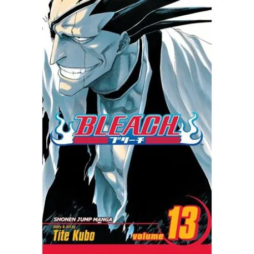 Bleach Vol. 13 - Tite Kubo - Manga