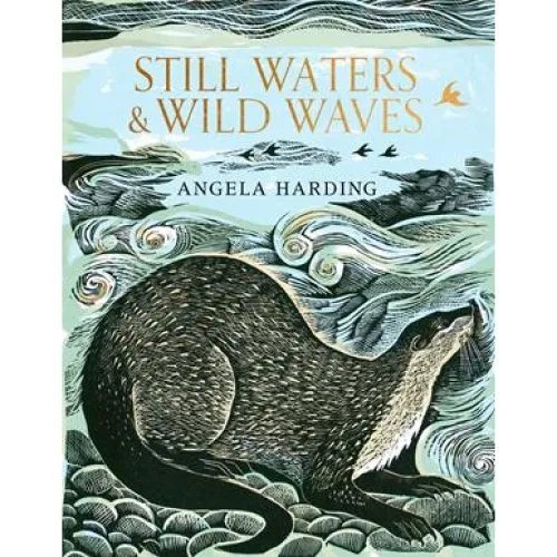 Angela Harding: Still Waters & Wild Waves - Bog
