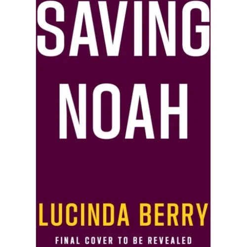 Lucinda Berry: Saving Noah