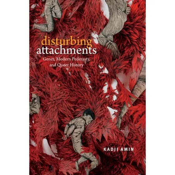 Disturbing Attachments af Kadji Amin